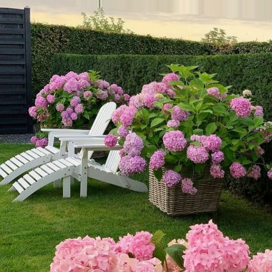 Last Day 70% OFF-Outdoor Artificial Hydrangea Flowers💐